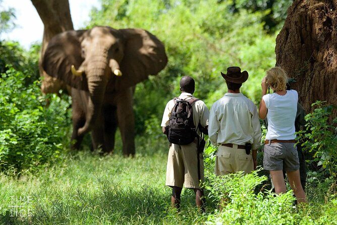 Chobe Full Day Safari Trip - Who Will Love This Tour?