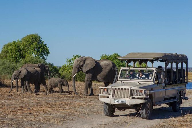 Chobe Full day Safari with Victoria falls Sunrise Tour Combo - Key Points