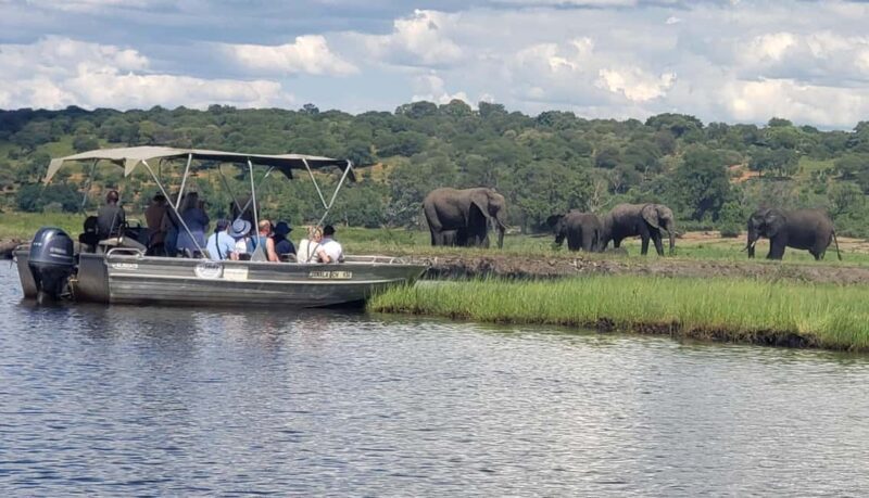 Chobe Full Day Tour - Botswana - Key Points