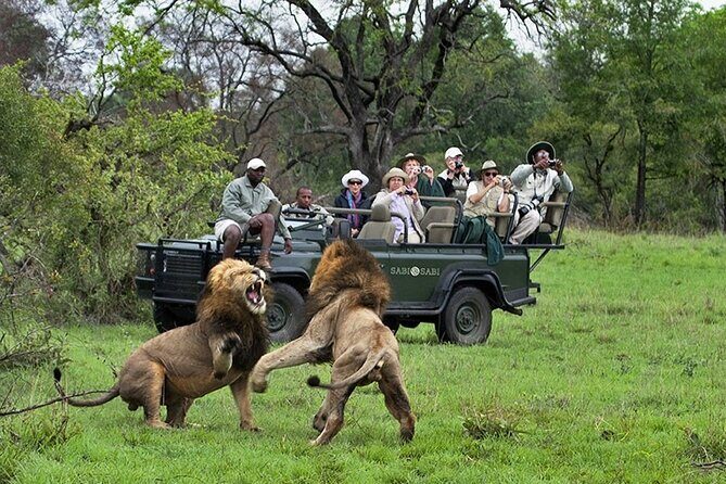 Chobe Full Day Trip - What Sets This Tour Apart?