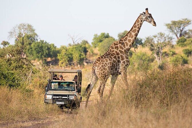 Chobe Full Day Trip - Convenience and Practicality