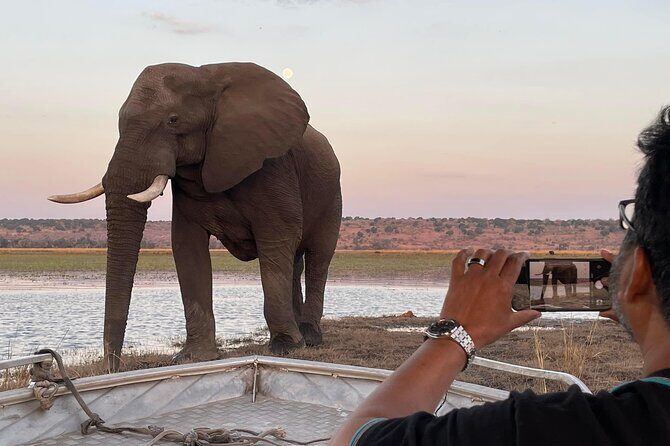 Chobe Full Day Trip - The Itinerary Breakdown: What You Can Expect