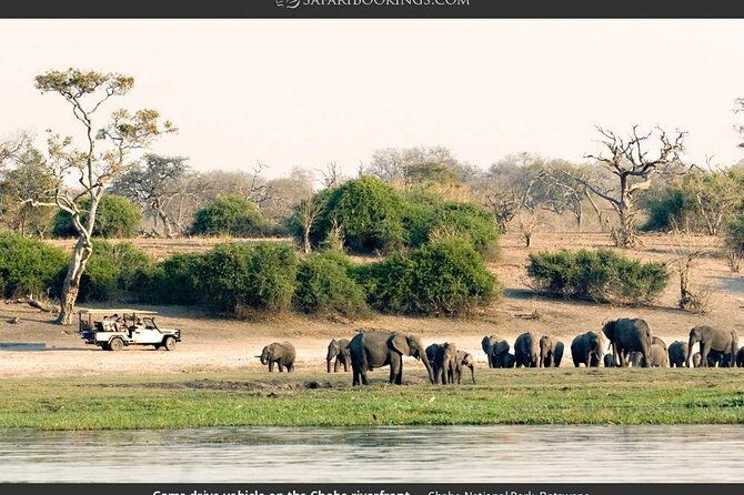 Chobe Full Day Trip - Exploring the Chobe Full Day Trip: An Honest Look