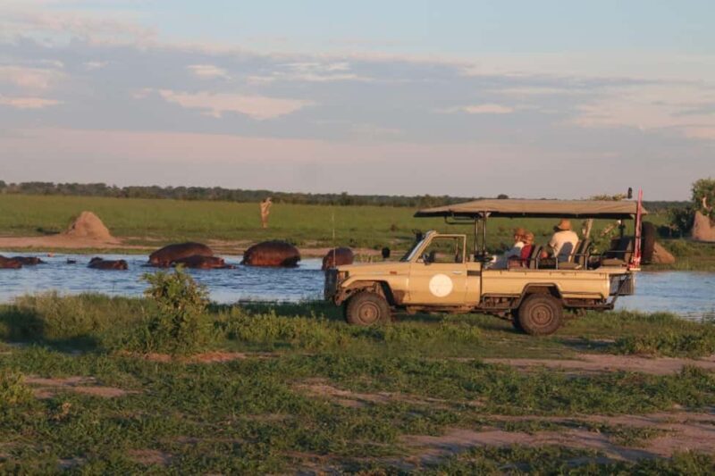 Chobe full day trip - Key Points