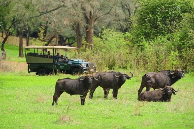 Chobe Full Day Trip - Key Points  