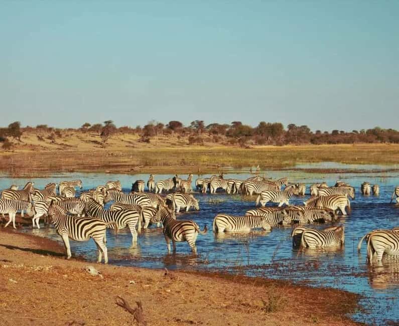 Chobe full day trip - Chobe National Park Botswana - Key Points