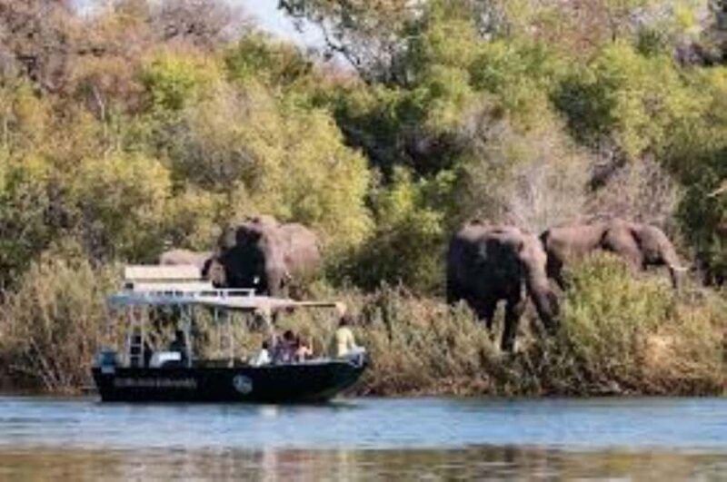 Chobe full day trip - Chobe National Park Botswana - Exploring the Full Day in Chobe National Park