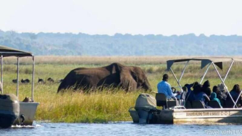 Chobe full day trip - Chobe National Park Botswana - Why This Tour Works Well for You