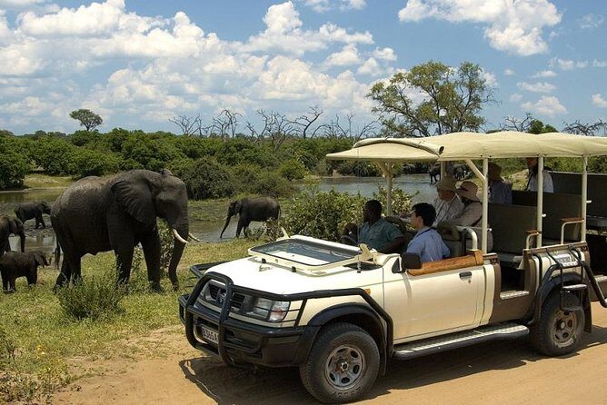 Chobe Full Day Trip - Who This Tour Is Best For