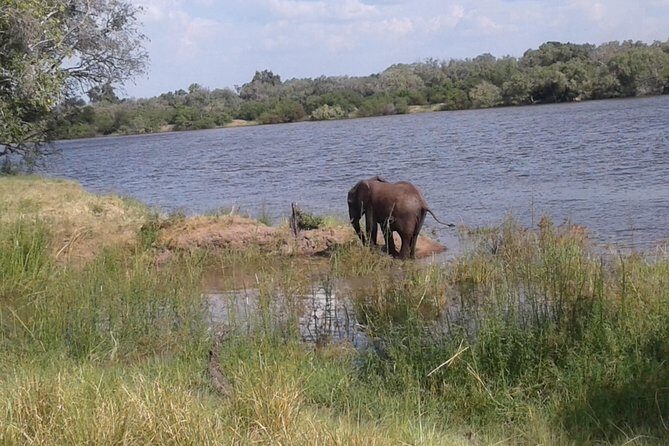 Chobe Full Day Trip - Final Thoughts