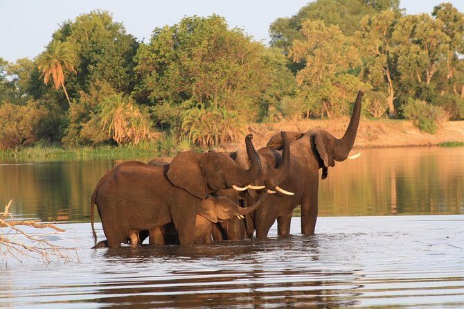 Chobe Full Day Trip - FAQ Section