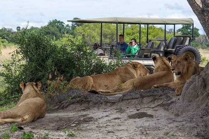 Chobe Full Day Trip From Victoria Falls - Key Points