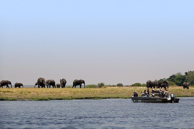 Chobe Full Day Trip From Victoria Falls - An In-Depth Look at the Chobe Full Day Experience
