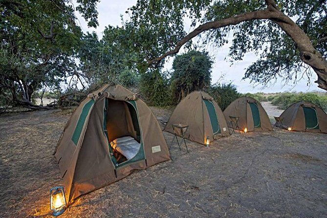 Chobe National Park Camping Safari From Victoria Falls (2 Days and 1 Night) - How the Tour Holds Up in Practice