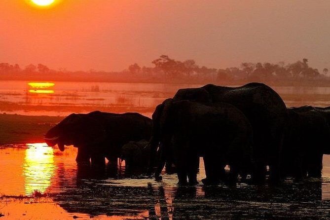 Chobe National Park Camping Safari From Victoria Falls (2 Days and 1 Night) - Final Thoughts: Who Will Love This Safari?