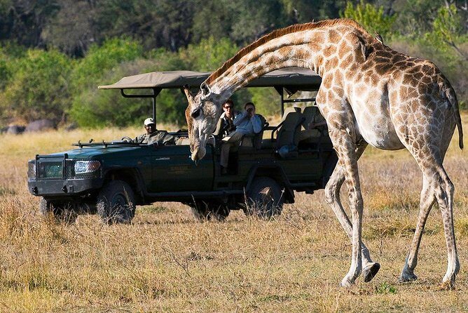 Chobe National Park Camping Safari From Victoria Falls (2 Days and 1 Night) - FAQ