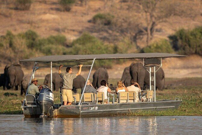 Chobe National Park Day Trip from Victoria Falls with Lunch - An In-Depth Look at the Itinerary