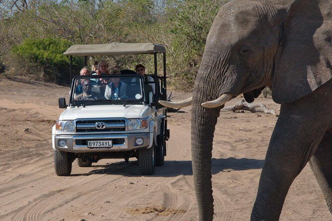 Chobe National Park Game Drive, Botswana - FAQ