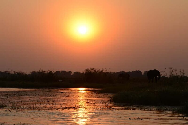 Chobe Private Day Trip A Luxury Safari Experience - The Experience’s Strengths