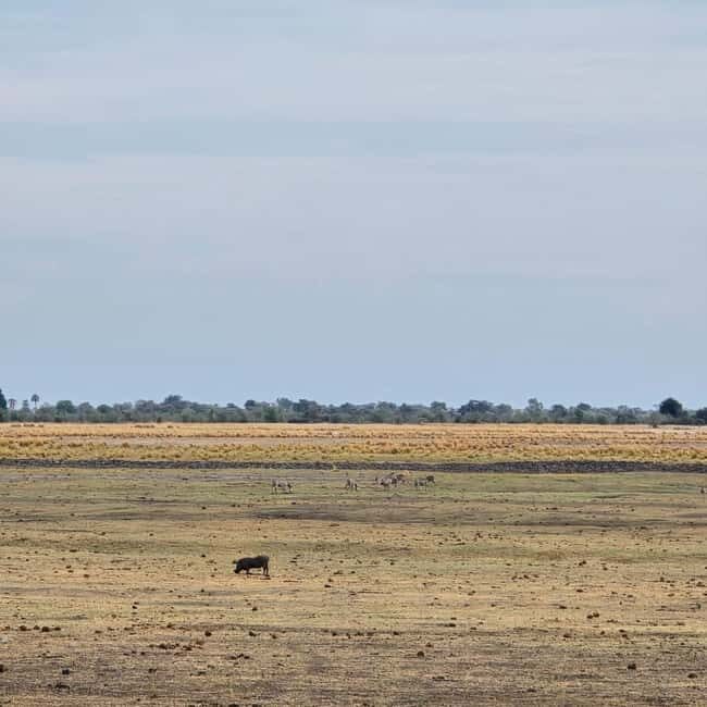 Chobe River Sunset Cruise - Key Points