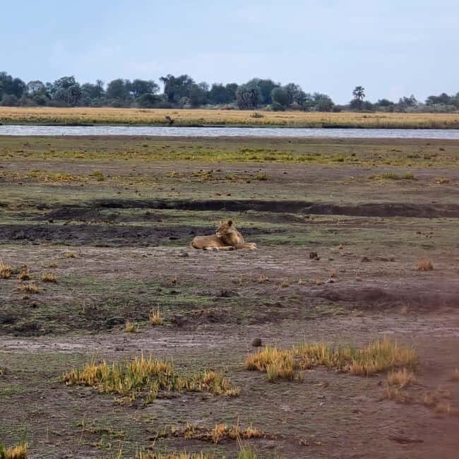 Chobe River Sunset Cruise - Practical Tips for the Best Experience