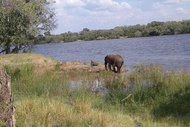 Chobe Safari Day Trip From Livingstone - The Value of the Tour
