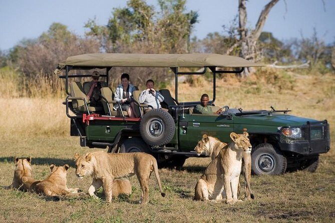 Chobe Sunrise upto Sunset Day trip from Victoria Falls 5AM - 7PM - Key Points