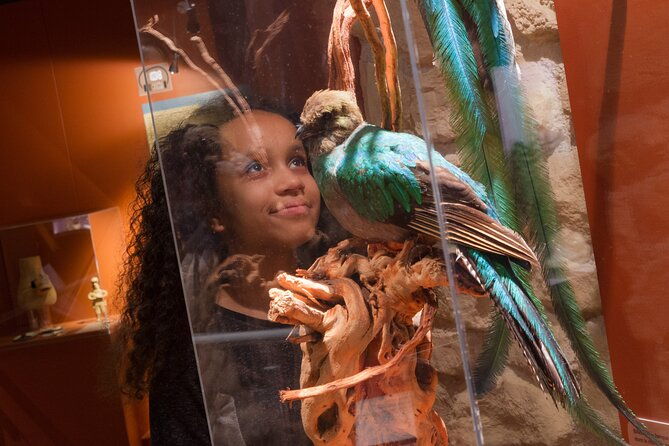 choco-story-paris-the-chocolate-museum