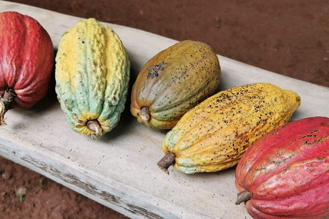 chocolate-and-coffee-tasting-tour-manuel-antonio