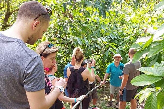 chocolate-and-coffee-tour-farm-don-jorge