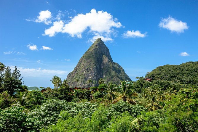 chocolate-decadence-st-lucia