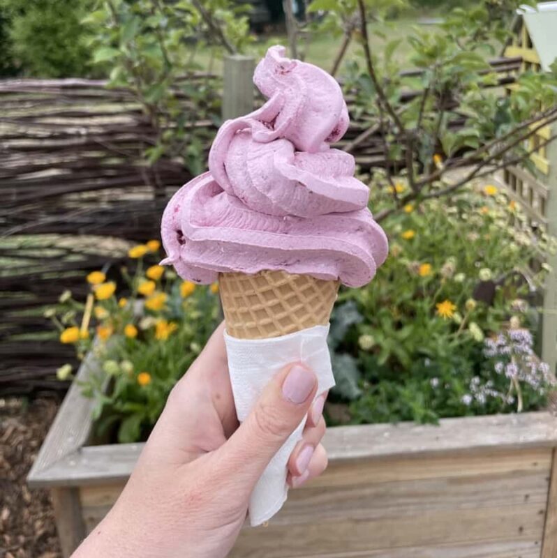 Chocolate Factory, Honey Visitor Centre and Ice Cream Tour - Practical Details and Experience Highlights