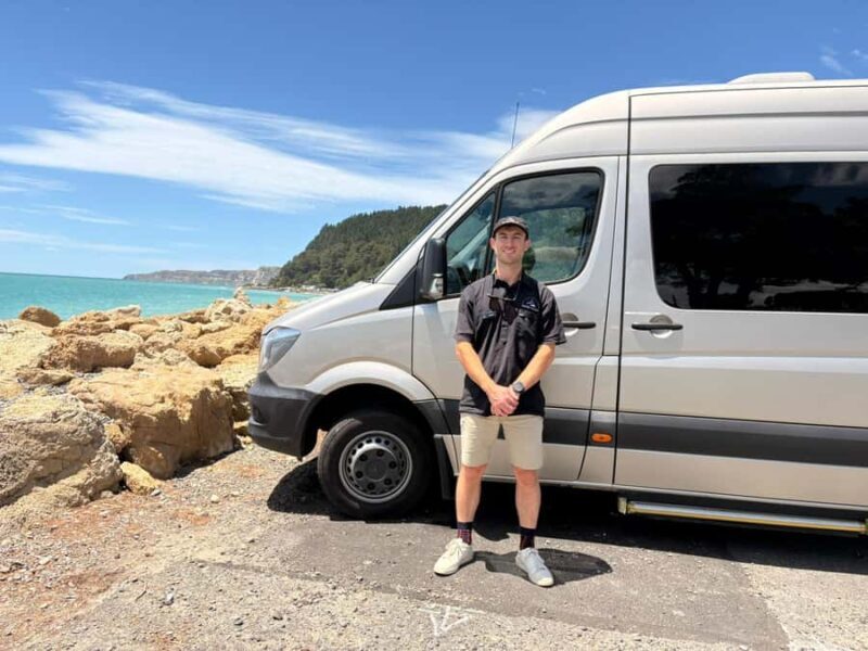 Chocolate Factory, Honey Visitor Centre and Ice Cream Tour - Who This Tour Is Best For