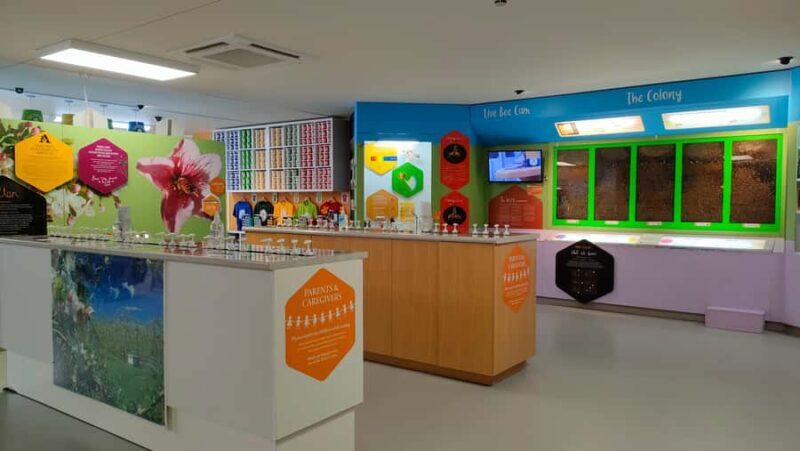 Chocolate Factory, Honey Visitor Centre and Ice Cream Tour - The Sum Up: Is It Worth It?