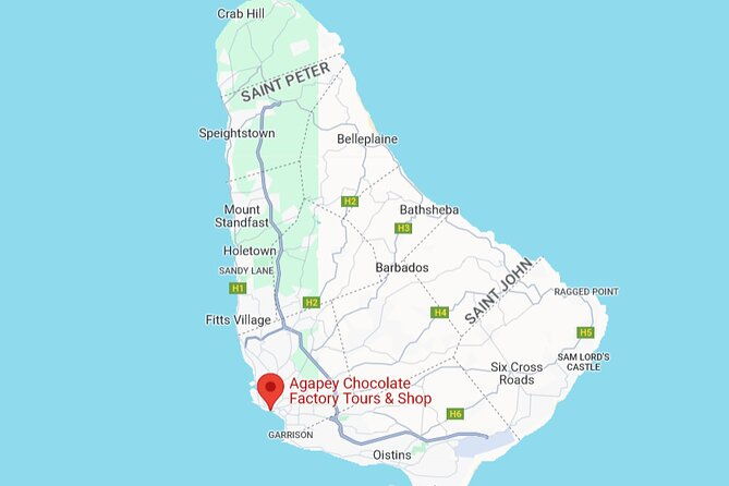 chocolate-factory-tour-in-barbados