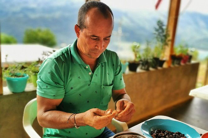 chocolate-farm-private-tour-in-medellin-real-genuine-experience