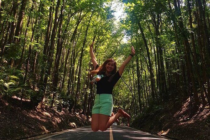 Chocolate Hills and Tarsier Day Tour in Bohol - A Full Breakdown of the Tour Experience