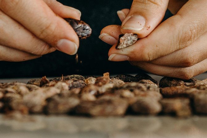 chocolate-master-class