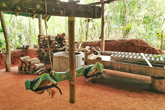 chocolate-tour-manuel-antonio