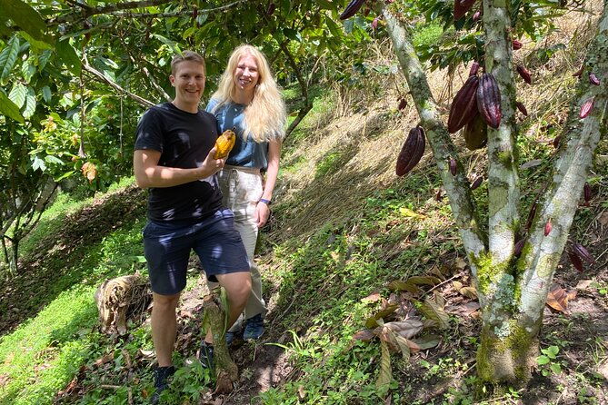 chocolate-tour-near-medellin