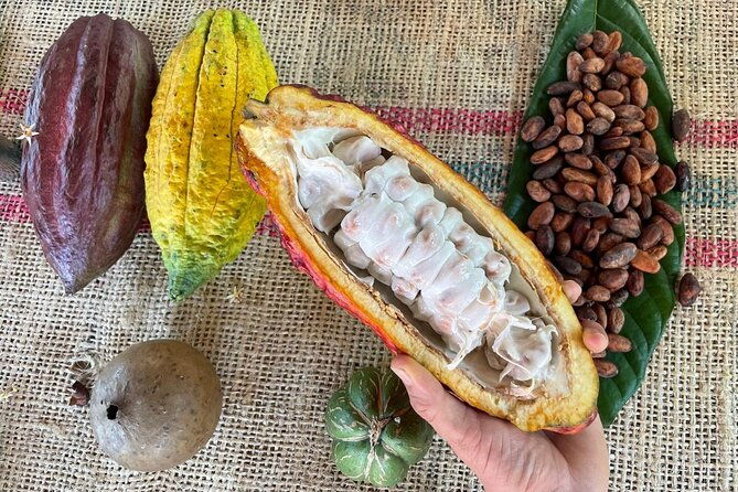 chocolate-tour-with-exfoliation-in-beautiful-river-from-medellin