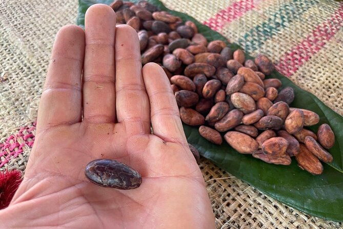 chocolate-tour-with-exfoliation-in-beautiful-river-from-medellin