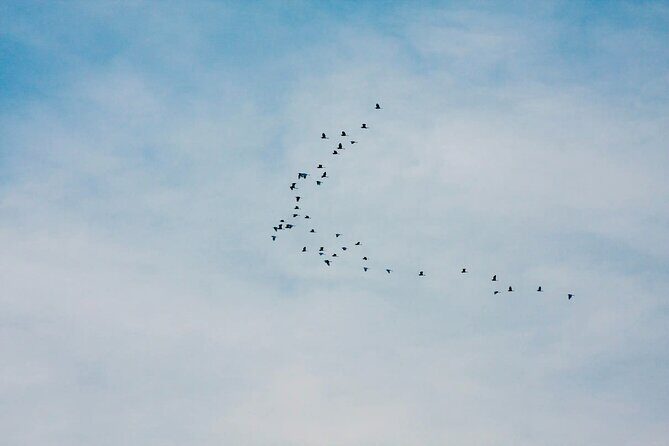 Chong Kneas Floating Village Rowing Boat Tour on Tonlé Sap Lake - FAQ