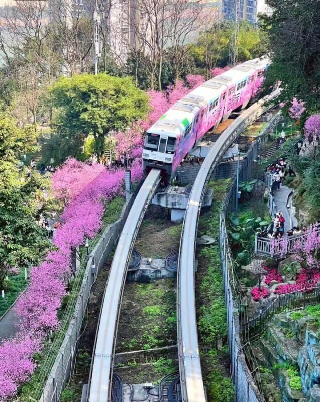 Chongqing: 1 Day Magic Mountain City Walking Tour - Key Points