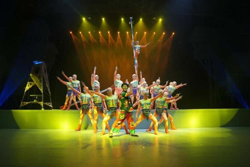 Chongqing Acrobatic Show Ticket - Key Points