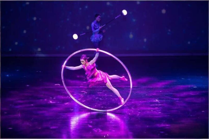 Chongqing Acrobatic Show Ticket - Who Is This Tour Best Suited For?