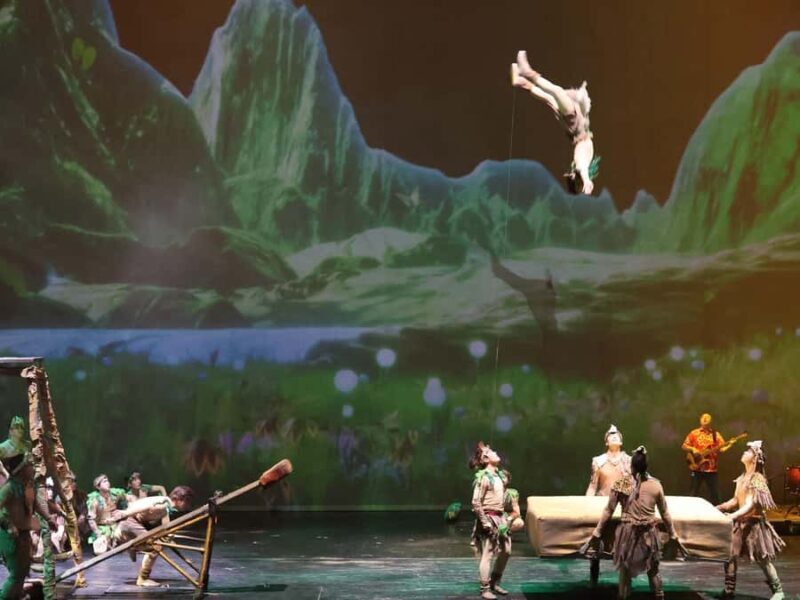 Chongqing Acrobatic Show Ticket - Final Thoughts