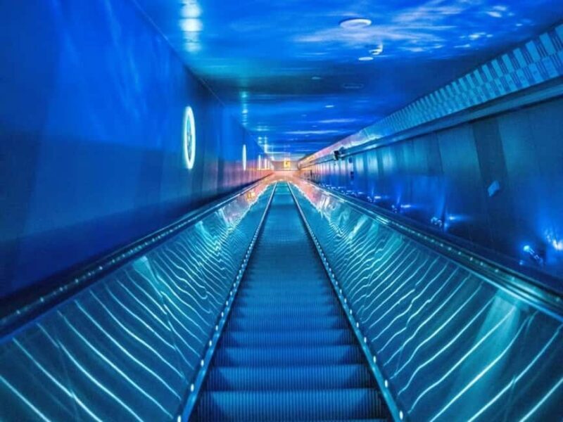 Chongqing: All Inclusive Yangtze Miracle Luxury 4D3N Cruise - Who Should Consider This Trip?