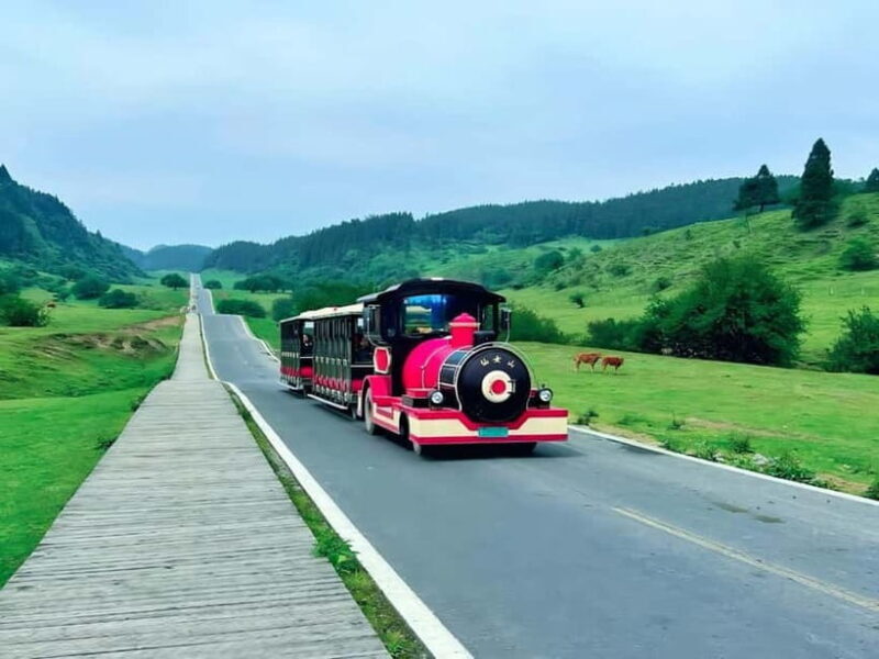 Chongqing Explore Wulong Private Day Tour - FAQ