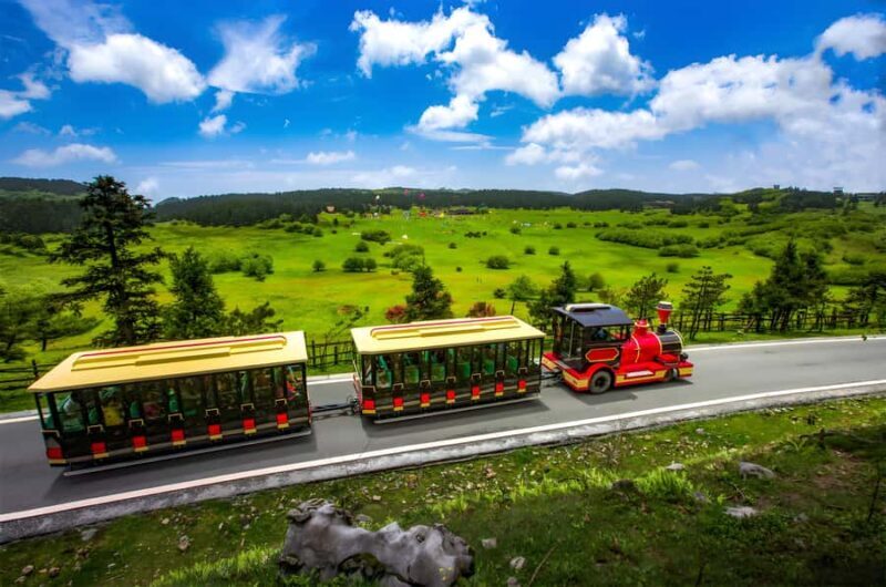 Chongqing: Fairy Mountain Forest Park Ticket - Key Points